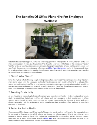 The Benefits Of Office Plant Hire For Employee Wellness