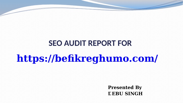 seo audit report for