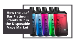How the Leaf Bar Platinum Stands Out in the Disposable Vape Market