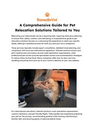 A Comprehensive Guide for Pet Relocation Solutions Tailored to You