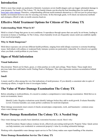 Efficient Mold Treatment Choices for Homeowners of The Colony TX