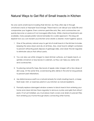 Natural Ways to Get Rid of Small Insects in Kitchen