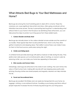 What Attracts Bed Bugs to Your Bed Mattresses and Home