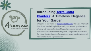 introducing terra cotta planters a timeless