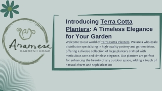 Terra Cotta Large Planters