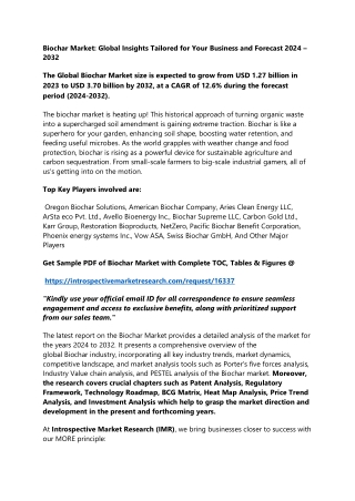 biochar market global insights tailored for your