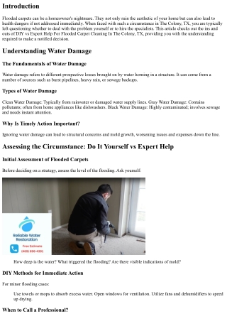 DIY vs Expert Aid For Flooded Carpet Cleansing In THe colony, Tx