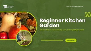 Beginner Kitchen Garden: Simple Steps to Start Growing Your Own Vegetables