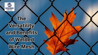 The Versatility and Benefits of Welded Wire Mesh