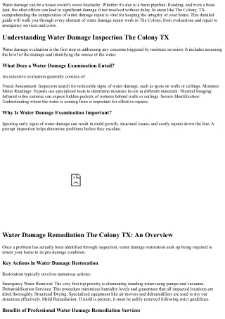Comprehensive Guide to Water Damage Repair in The Colony TX