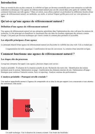 Comment fonctionne une agence de référencement naturel ?