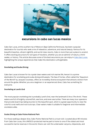Cabo shark dive