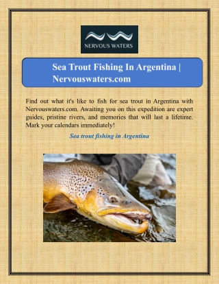 Sea Trout Fishing In Argentina | Nervouswaters.com