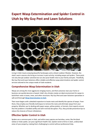 Expert Wasp Extermination and Spider Control in Utah by My Guy Pest and Lawn Solutions