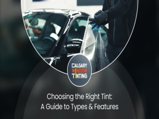 Choosing the Right Tint A Guide to Types and Features