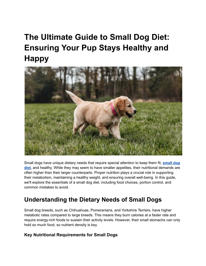 the ultimate guide to small dog diet ensuring