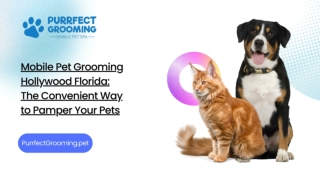 Mobile Pet Grooming Hollywood Florida: The Convenient Way to Pamper Your Pets