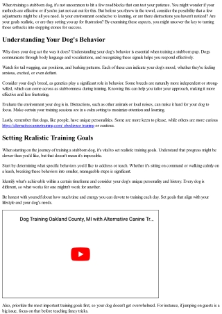 when training a stubborn dog it s not uncommon