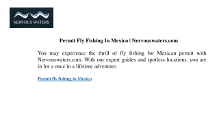 Permit Fly Fishing In Mexico  Nervouswaters.com