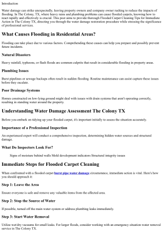 Flooded Carpet Cleaning Tips for Immediate Action in The Colony TX