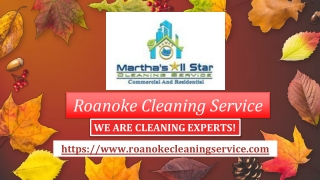 Sparkling Clean Homes with the Best Maid Service in Roanoke, VA