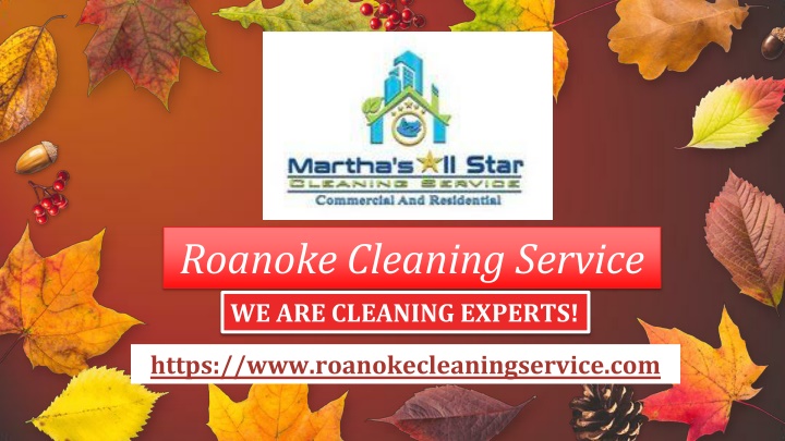 roanoke cleaning service