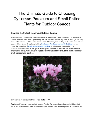 The Ultimate Guide to Choosing Cyclamen Persicum and Small Potted Plants for Outdoor Spaces