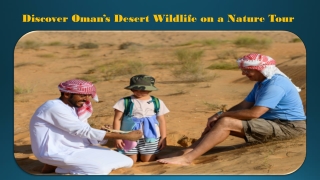 Discover Oman’s Desert Wildlife on a Nature Tour