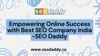 Empowering Online Success with SEO Daddy