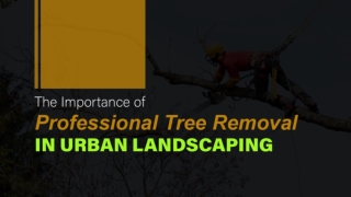 The Importance of Professional Tree Removal in Urban Landscaping