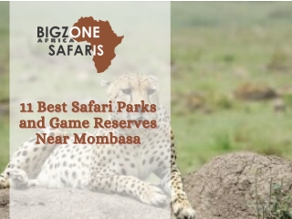 11 best safari parks 11 best safari parks