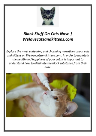 black stuff on cats nose welovecatsandkittens com