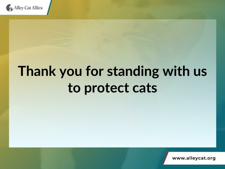 thank you for standing with us to protect cats