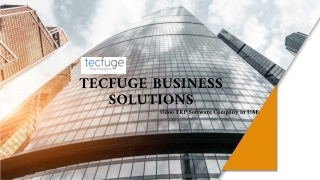tecfuge business solutions