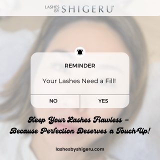 Your Lashes Need a Fill  Lashes by Shigeru