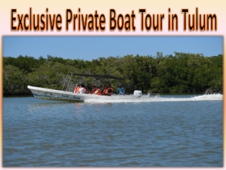 Exclusive Private Boat Tour in Tulum