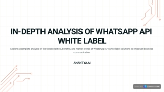 whatsapp api white label