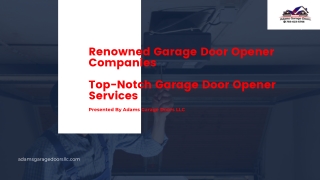 Renowned Garage Door Opener Companies| Top-Notch Garage Door Opener Services