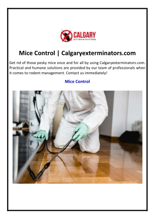 mice control calgaryexterminators com