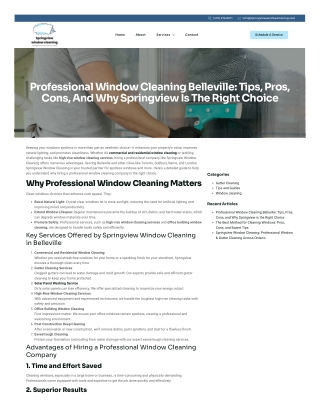 Professional Window Cleaning Belleville Tips, Pros, Cons, and Why Springview is the Right Choice