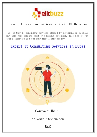 Expert It Consulting Services In Dubai  Elitbuzz.com