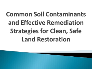 Common Soil Contaminants and Effective Remediation Strategies