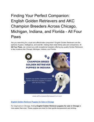 Finding Your Perfect Companion_ English Golden Retrievers and AKC Champion Breeders Across Chicago, Michigan, Indiana, a