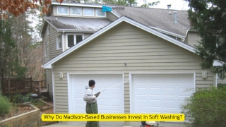 Why Do Madison-Based Businesses Invest in Soft Washing