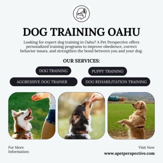 Dog Training Oahu