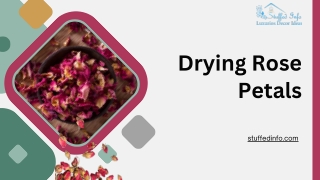 Dry Rose Petals