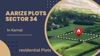 aarize plots sector 34
