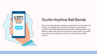 Fast Pasco Bail Bonds for Immediate Assistance