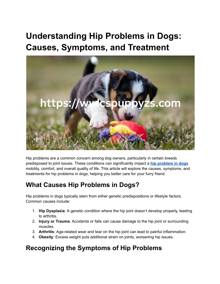 understanding hip problems in dogs causes