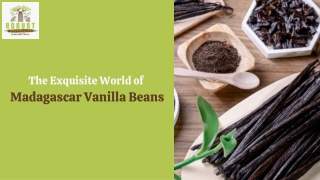 The Exquisite World of Madagascar Vanilla Beans